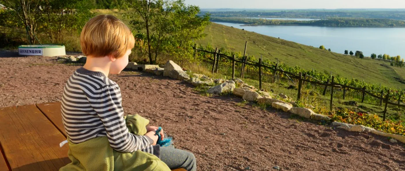 Kind auf einer Bank mit Blick über Weinberge auf den Geiseltalsee
